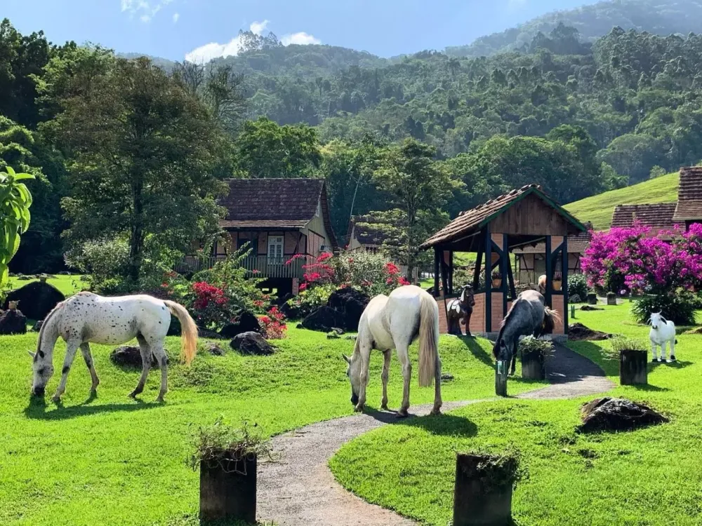 GRAMADO OU POMERODE? DESCUBRA QUAL CIDADE REALMENTE PARECE A EUROPA NO BRASIL