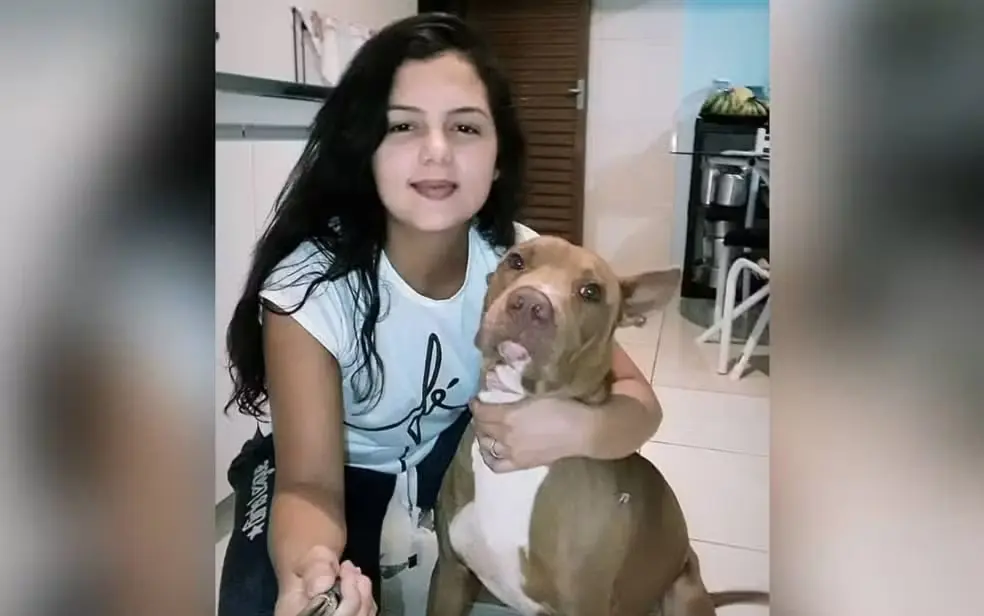 PITBULL MATA DONA DENTRO DE CASA E É ABATIDO POR VIZINHOS