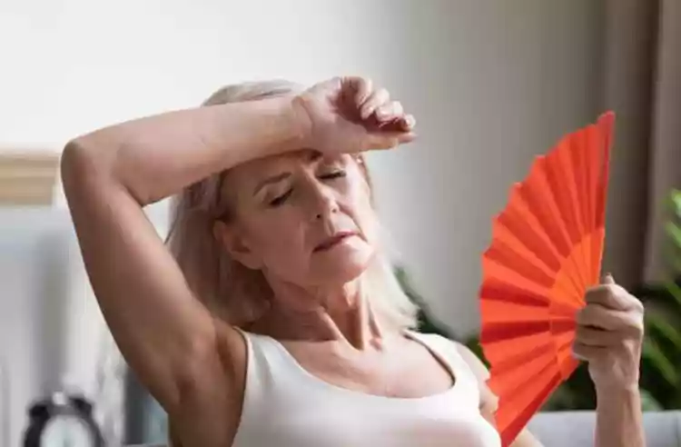MENOPAUSA: QUATRO SEMENTES QUE PODEM ALIVIAR OS SINTOMAS