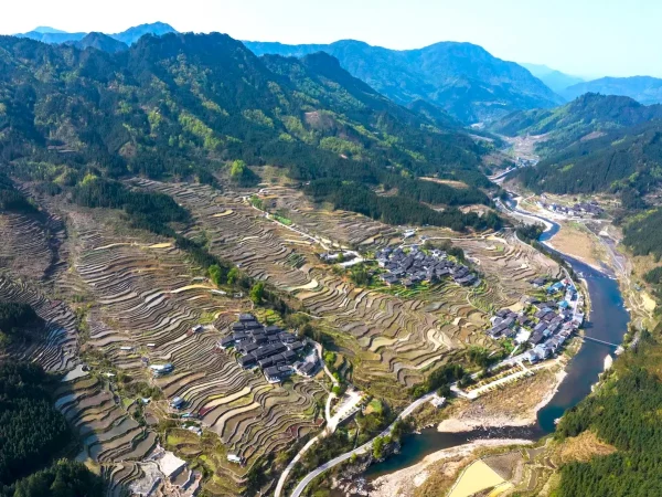 ESTUDO ALERTA: MUDANÇAS CLIMÁTICAS AUMENTARÃO NÍVEIS DE ARSÊNIO NO ARROZ ATÉ 2050