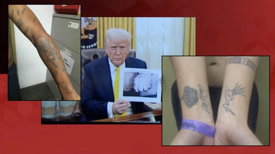 BRASILEIROS COM TATUAGENS PODE SER DEPORTADOS DOS ESTADOS UNIDOS POR ASSOCIAÇÃO A GANGUES