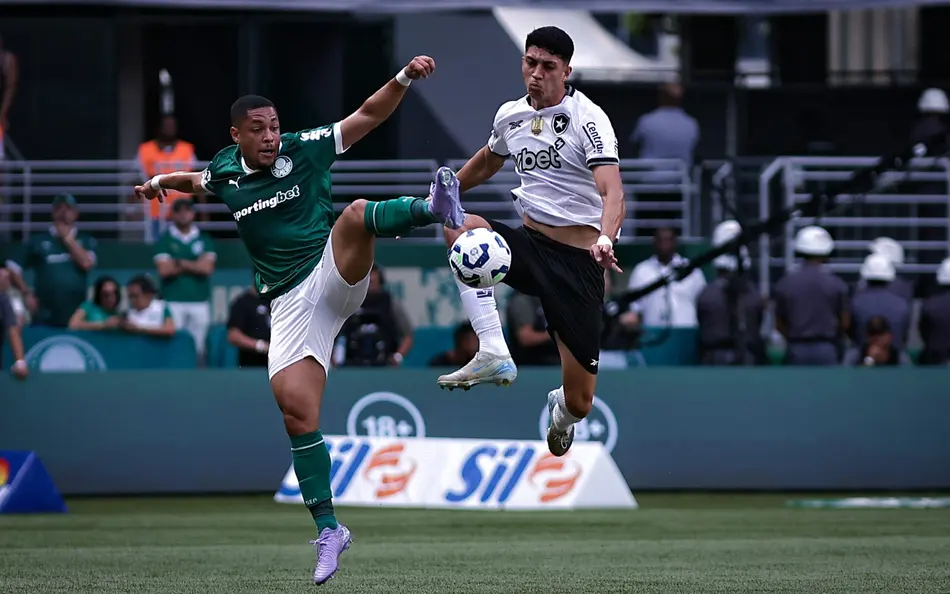 COMO PALMEIRAS E BOTAFOGO VIROU RIVALIDADE ACALORADA NOS ÚLTIMOS ANOS , DENTRO E FORA DE CAMPO