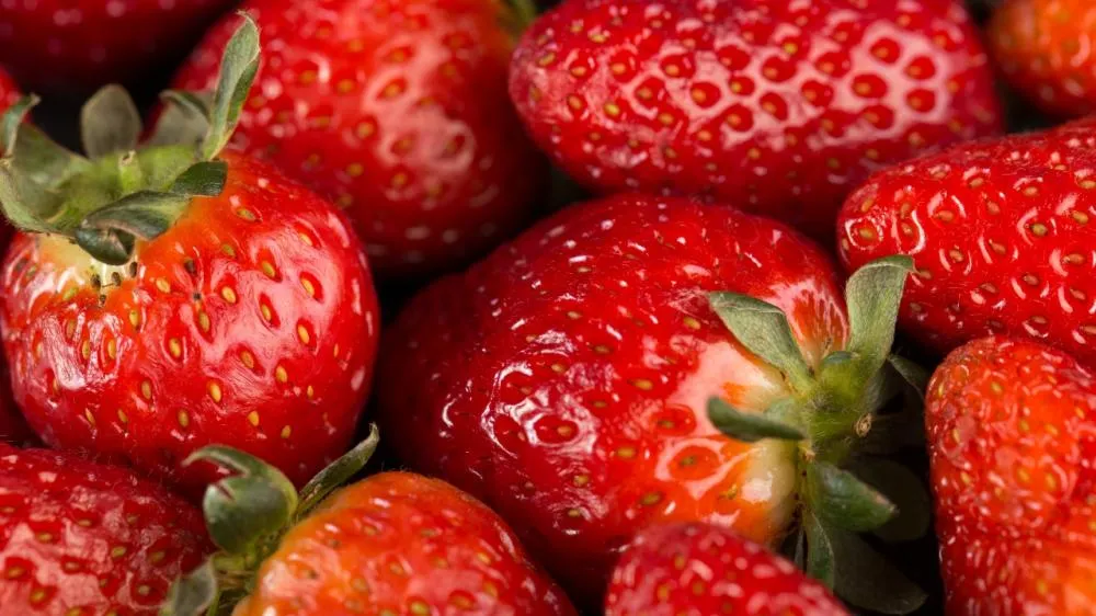 MORANGO DO AMOR, COMO ACERTAR DE PRIMEIRA A RECEITA QUE VIROU FEBRE NAS REDES