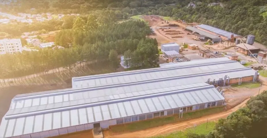 EMPRESAS BRASILEIRAS SUSPENDEM PRODUÇÃO E EXPORTAÇÕES APÓS TARIFAÇO DE TRUMP