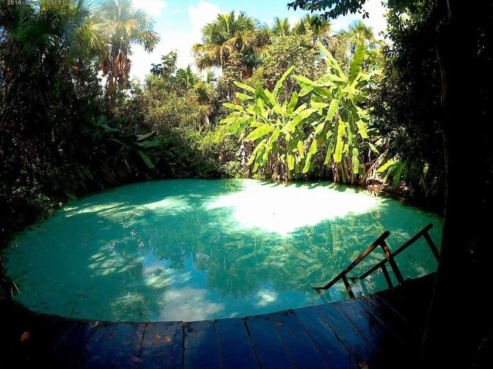 POR QUE NINGUÉM AFUNDA NOS FERVEDOUROS DO JALAPÃO