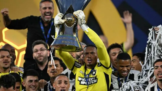 BOTAFOGO CAMPEÃO BRASILEIRO 2024
