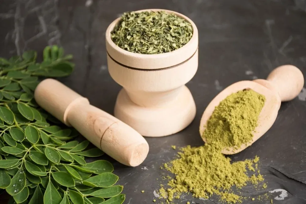 MORINGA CONHEÇA A PLANTA COM POTENCIAL MEDICINAL E ECONÔMICO QUE O MUNTO ESTÁ REDESCOBRINDO