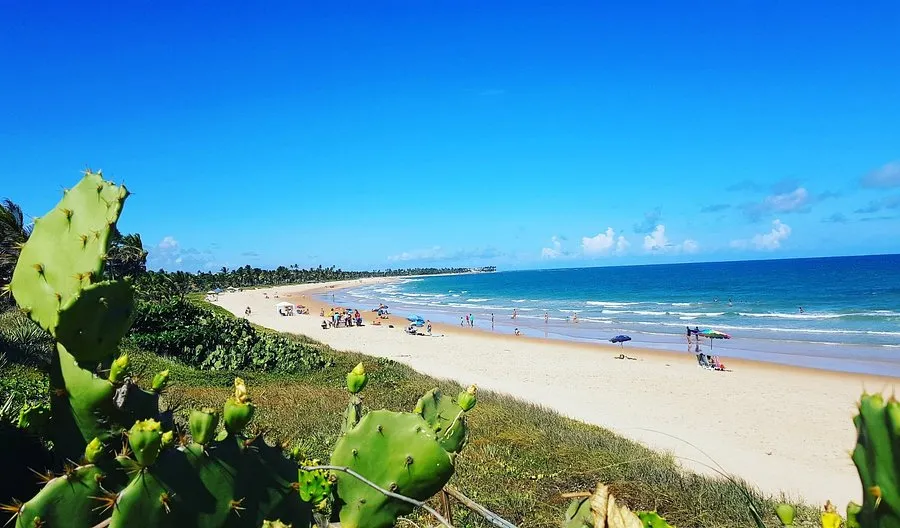 10 PRAIAS BRASILEIRA RECONHECIDAS COM O SELO BANDEIRA AZUL