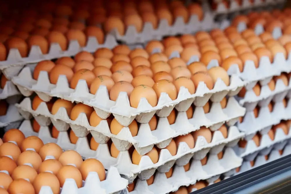 ALTA NO PREÇO DO OVO NO ATACADO PREOCUPA SUPERMERCADOS E CHEGARÁ AOS CONSUMIDORES