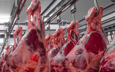 QUAL A IMPORTANCIA DA FRANÇA E DA UE PARA A EXPORTAÇAO DE CARNE BOVINA DO BRASIL
