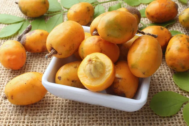 BENEFICIOS DA SERIGUELA PARA SAUDE HUMANA